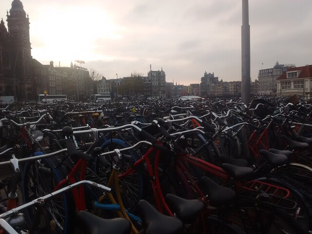 A public bicycle parking space with perhaps hundreds of parked bicycles in the foreground and Amsterdam cityscape in the background